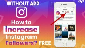 Instagram Followers